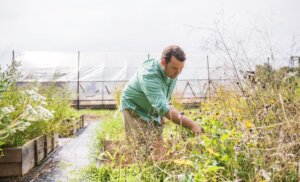 environment-science
