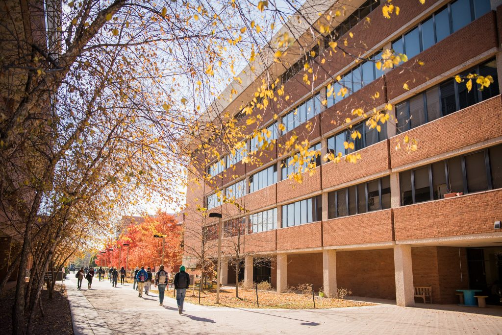 Students walking between campus buildings and autumn foliage