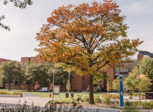 UMBC Campus