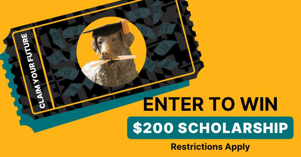 Raffle tickets with UMBC Retriever statue next to text that says Enter to win. $200 scholarship. Restrictions apply.
