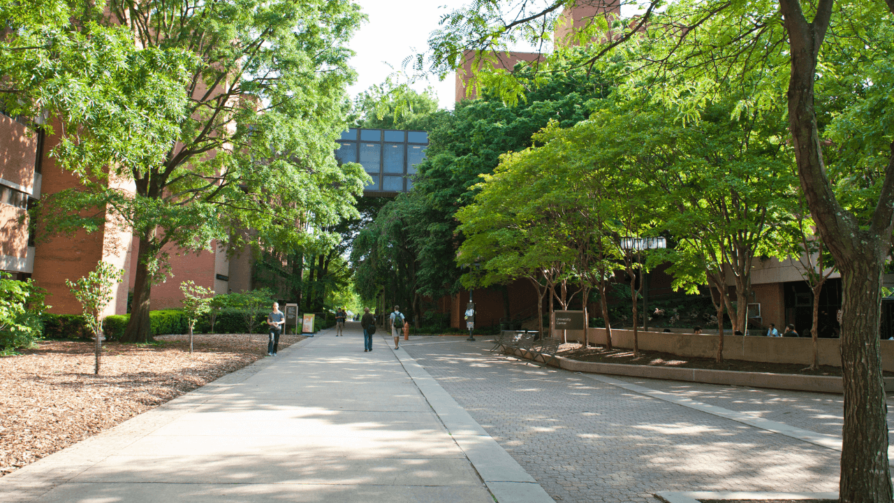 UMBC campus news picture of main path
