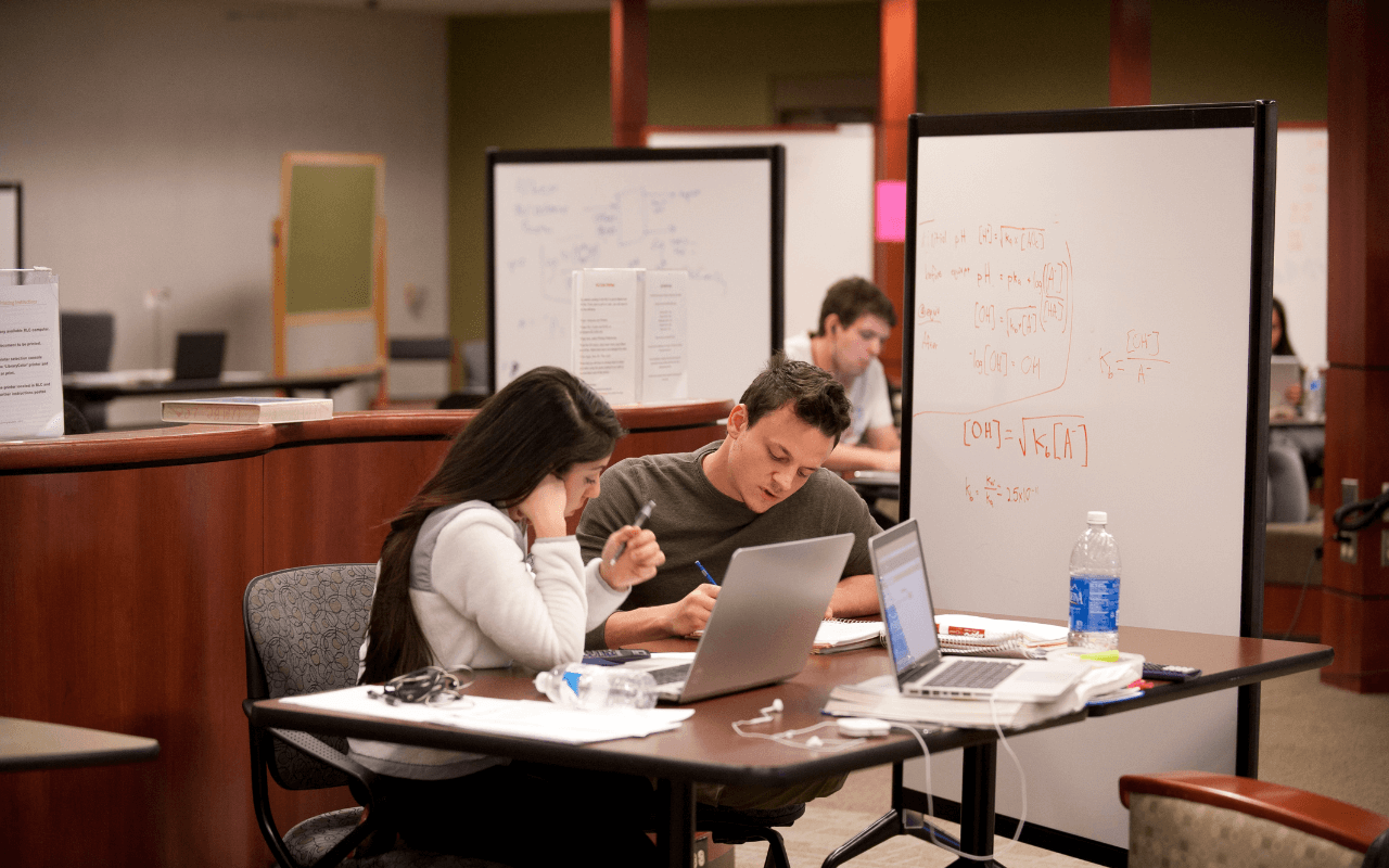 Collaborative learning amongst peers in the UMBC campus library.