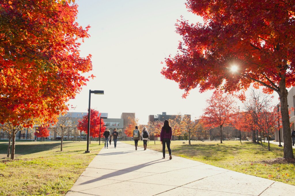 UMBC Campus in the fall