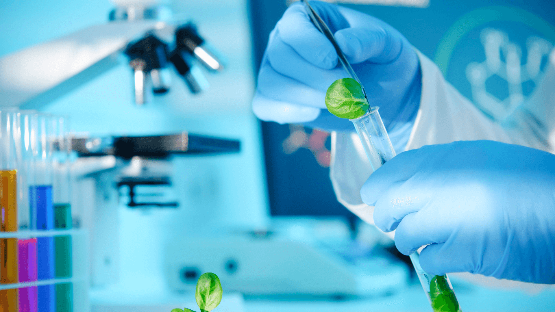 Gloved hands place a green leaf into a test tube in a biotechnology lab, with colorful samples and a microscope in the background.
