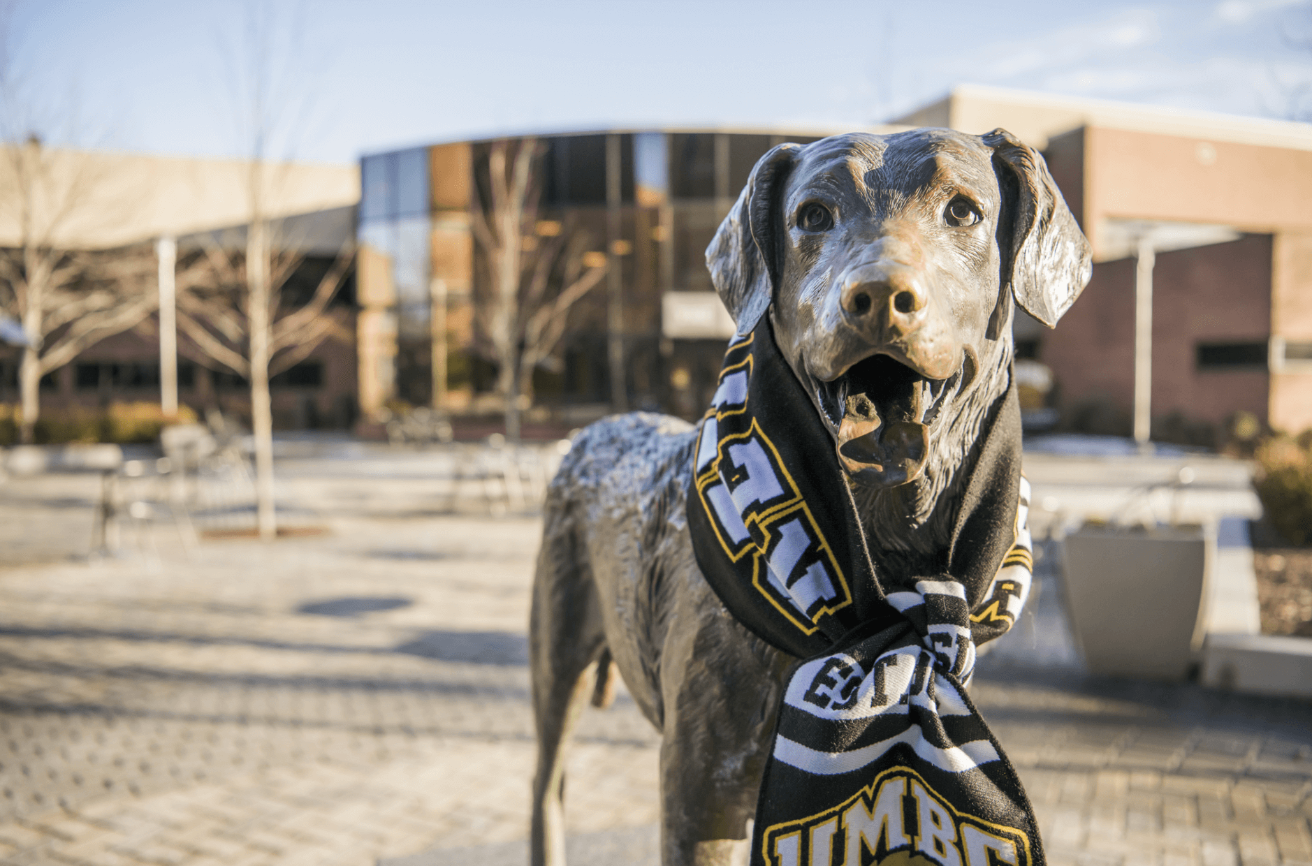 A UMBC Retriever mascot wearing a black and gold scarf standing in the snow.