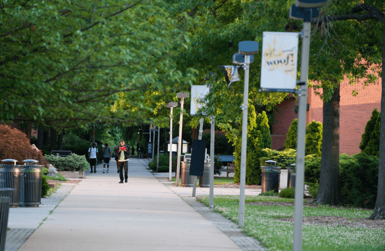 Outdoor walkway on the UMBC campus with trees, banner lamp posts, and students in the distance.