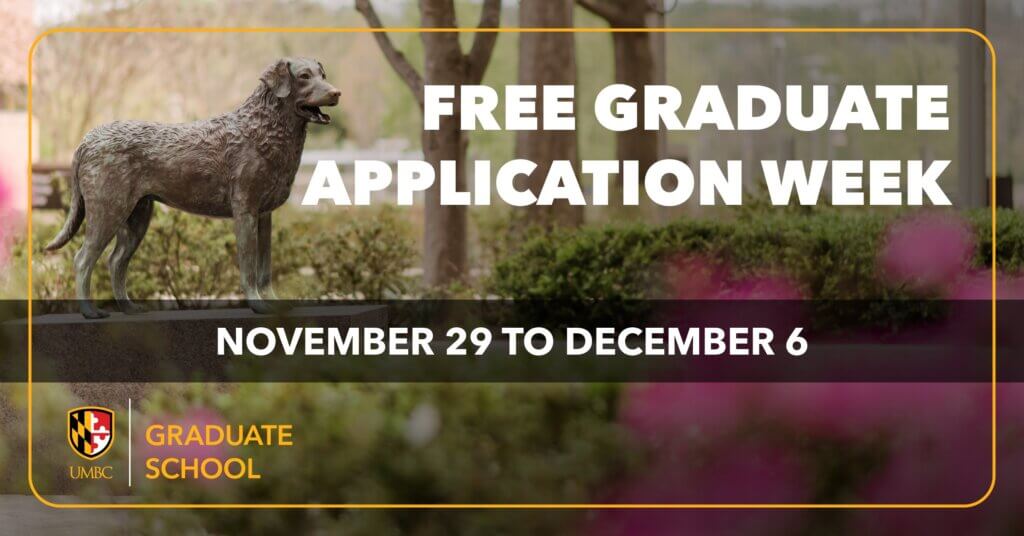 UMBC Retriever mascot statue next to text that reads Free Graduate Application Week. November 29 to December 6.